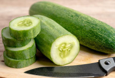 8 Manfaat Konsumsi Mentimun: Nomor 5 Sangat Berpengaruh Bagi Lansia