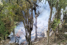 BREAKING NEWS: Rumah Warga di Kecamatan Bermani Ilir Ludes Terbakar 