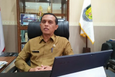Kabar Terbaru, Penyerahan SK CPNS Bengkulu Tengah Tunggu Instruksi Bupati