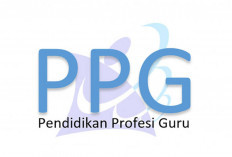 Seleksi PPG 2025 Bagi Guru Tertentu, Berikut Bocoran Jadwal dan 5 Persyaratannya!