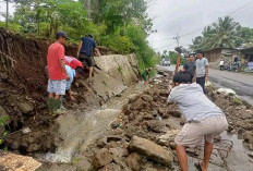 Minimalisir Banjir di Jembatan Konak, Karang Taruna Desa Permu Bawah Gotong Royong Bersihkan Drainase Mampet