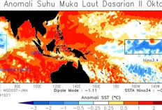 La Nina Hampir Pasti Landa RI, BMKG Sebut Tanda-tandanya Sudah Muncul