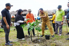 Pringatan Hari Bakti Rimbawan ke-42, Pentingnya Jaga Kelestarian Hutan