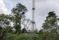 13 Desa di Kepahiang Sulit Hadapi Era Digital: Gara-gara Masuk Kategori Blank Spot