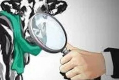 Diduga Akibat Jembrana, 13 Sapi di Desa Cawang Lama Mati