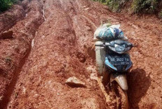 Jalan Langgar Jaya 'Nasibmu Kini', Desakan Agar Segera Dibangun Terus Mengalir