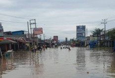 Banjir Melanda Kota Bengkulu, Sungai Bengkulu Meluap dan Rendam Permukiman Warga