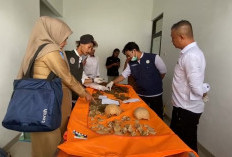 Tempatkan Koleksi Temuan Benda Bersejarah: Disdikbud Kepahiang Wacanakan Bangun Museum Mini