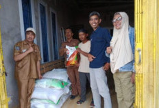 Distankan Rejang Lebong Salurkan 30 Ton Bibit Jagung 
