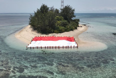 Basarnas Bengkulu Kibarkan Bendera di Bawah Laut dan Bentang Bendera Raksasa di Pulau Tikus