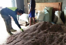 Terbaru, Harga Kopi Masih Rp 60 Ribu