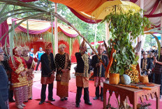 Lestarikan Budaya Lokal Umbung Kutei, Pemkab Kepahiang Wacanakan Bangun Museum 