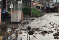 Drainase Dangkal & Tersumbat Sampah: Warga di Kepahiang Keluhkan Banjir