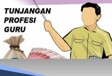 2025, Ada 606 Ribu Guru ASN dan Honorer Dapat Tunjangan Sertifikasi