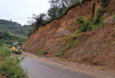 Ganti Rugi Lahan Pembangunan Jalan Baru di Rimbo Pengadang Disepakati Rp 60 Ribu per Meter