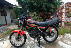 4 Varian Yamaha RX King Terbaik yang Pernah Diproduksi: Harganya Bikin Geleng-geleng 