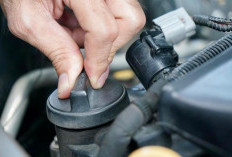 Begini Cara Mencegah Selang Oli Mobil Bocor