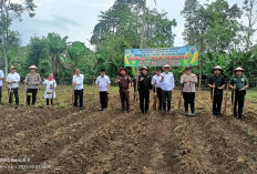 Bersama Wabup dan Forkopimda Kepahiang: Desa Bogor Baru Tanam Jagung dan Launching Mobil BUMDes