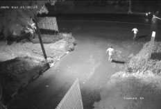 Aksi Heroik Satpam Kejari Kepahiang Gagalkan Aksi Begal di Kompleks Perkantoran: Pelajar Nyaris Jadi Korban