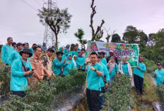 Good Agriculture Practise, Sekolah Lapangan Budidaya Cabai Kolaborasi Dinas TPHP dan Distankan