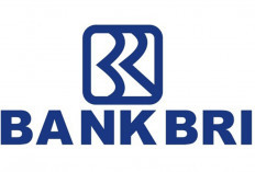 Cek Loker Bank BRI Juli-Agustus 2024