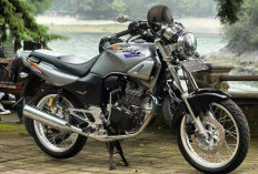Kelebihan dan Kelemahan Honda Tiger 2000