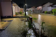 Puluhan Rumah di Bentiring Kota Bengkulu Kembali Kebanjiran
