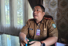 Lagi-lagi ASN Kabupaten Kepahiang Terancam Dipecat: Identitasnya?