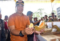 Durian Kepet Asal Kasie Kesubun Jawarai Festival Durian di Rejang Lebong