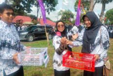 PPPK Sekolah Rakyat Penuh Waktu atau Paruh Waktu? Ini Penjelasan Mekanisme Penugasannya