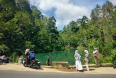 Kebun Teh hingga Danau Dipadati Wisatawan: Pemkab Kepahinag Ingatkan Jangan 'Palak' Pengunjung