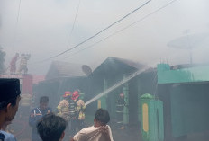 Rumah Kontrakan di Perumahan Pepabri Kota Bengkulu Dilalap Si Jago Merah