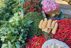 Pedagang Sembako Pasar Kepahiang Keluhkan Tak Ada Kenaikan Penjualan