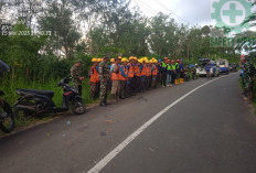 Bersama TNI, PLN Kepahiang Tebang Pohon yang Mengganggu Jaringan Listrik