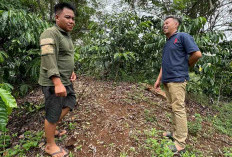 Makam Imem Margagah, Penjaga Desa Batu Kalung yang Mewajibkan Peziarahnya Bawa Darah Manusia Tewas Terbunuh