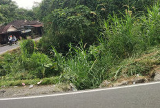 Hati-hati Melintas di Kepahiang, Ada Jalan Amblas yang Sudah Makan Korban