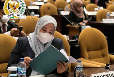 Senator Riri Dorong Pemilu Dapat Menguntungkan Pelaku UMKM