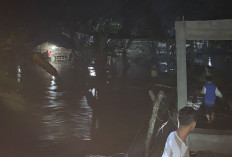 Sungai Sempiang Meluap, 65 Rumah Warga Sidodadi Kepahiang Terendam Banjir