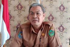 Setengah Hotel di Rejang Lebong Tidak Sehat, PAD Terancam