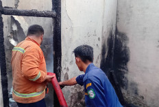 Dampak Kebakaran SDN 10 Ujan Mas di Kepahiang: Segini Kebutuhan Anggaran Perbaikan 