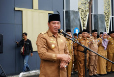 Wagub Rosjonsyah Tegaskan Roda Pemerintahan Tetap Berjalan