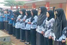 Calon PPPK Bersiap: Jadwal Seleksi CAT PPPK Tahap 2 Kepahiang Diumumkan 