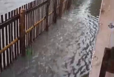 Hujan Guyur Kabupaten Kepahiang: 65 Rumah di Pasar Ujung Terendam Banjir 