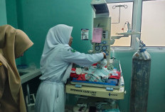 Kabar Terbaru Soal Penemuan Bayi Perempuan di Dalam Kardus di Kabupaten Kepahiang