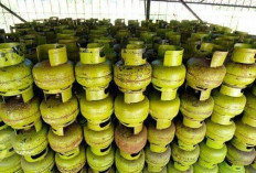 Wadidaw. . Harga Gas Melon di Rejang Lebong Tembus Rp 50 ribu