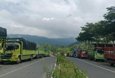 Pasokan Dipangkas Setengah, SPBU Kelobak Kepahiang Diserbu Antrean Truk