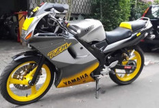 Yamaha TZM 150: Spesifikasi Motor Sport 2 Tak Langka di Indonesia