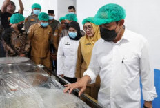 Walikota Bengkulu Tekankan Penerapan SOP Dapur MBG