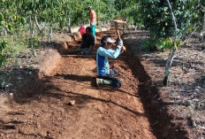  Bangun JUT, Pemdes Talang Sawah Gunakan DD TA 2024