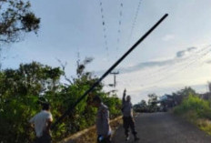 Kecelakaan Kerja di Rejang Lebong, Satu Orang Meninggal Dunia